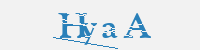 보안문자